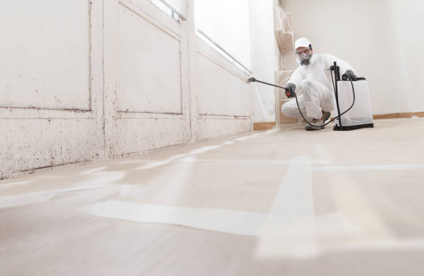 24/7 Emergency Basement Mold Remediation experts in Levittown, PA