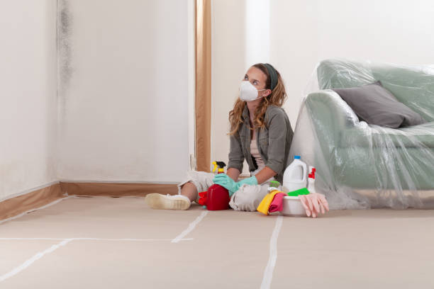 Reliable Basement Mold Remediation contractor in Levittown, PA by Mold Remediation HQ
